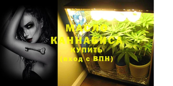 молекула духа Медногорск