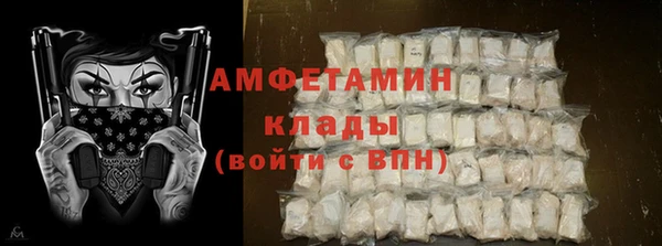 дживик Мегион
