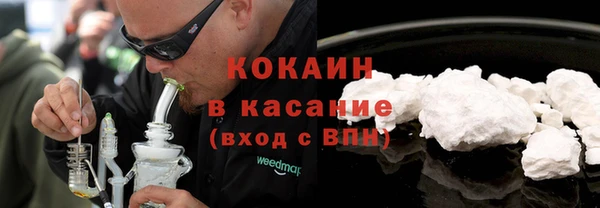 дживик Мегион
