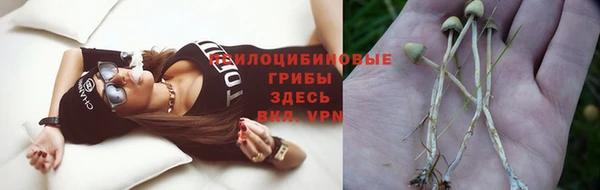 дживик Мегион