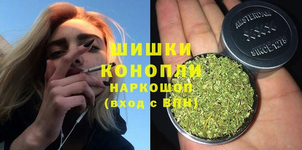 дживик Мегион