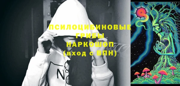молекула духа Медногорск