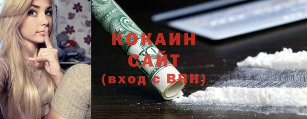 дживик Мегион