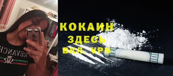 дживик Мегион