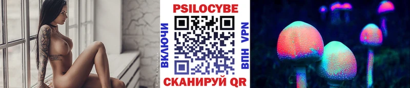 МЕГА ONION  сколько стоит  Дмитровск  Псилоцибиновые грибы Psilocybe 