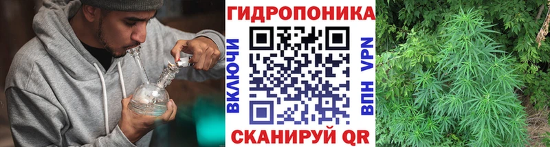 сколько стоит  Дмитровск  hydra рабочий сайт  Бошки марихуана Ganja 